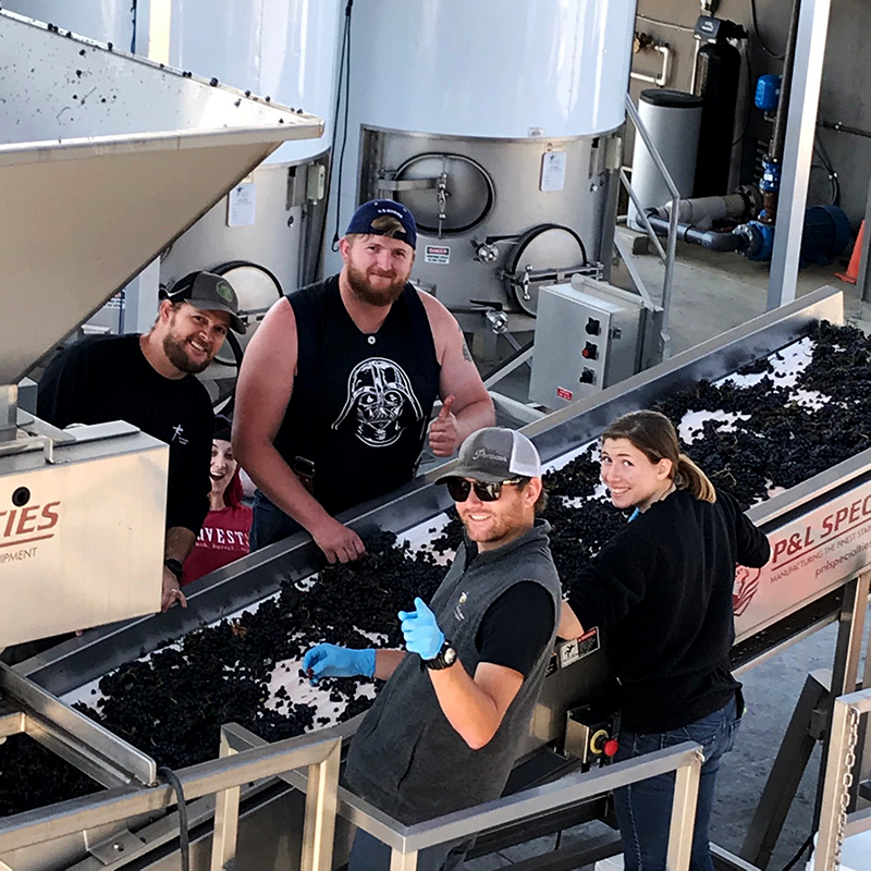 Ron Rubin Team sorting grapes on machine