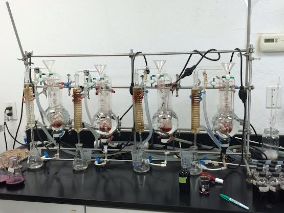 Vintage wine testing laboratory